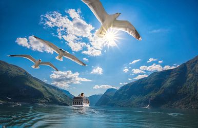 alle reedereien auf einen blick