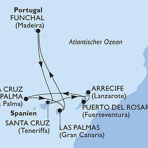 MSC Musica,Ship,Aerial view,Musica Class