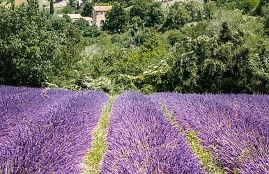 rhône route provence