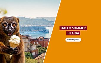 hallo sommer, hi aida