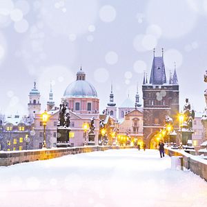 Trendtours: Dresden