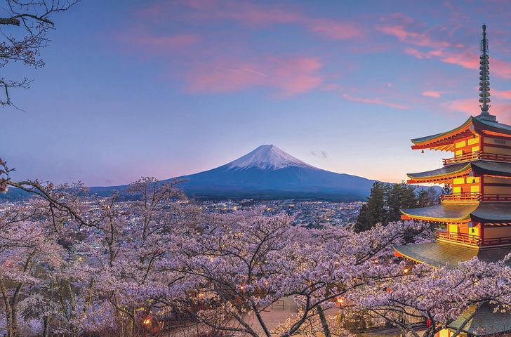 Impression zu AIDA Winter 2026/27 - AIDAstella - Große Japan-Rundreise zur Frühlingsblüte