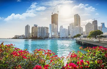 New Orleans, Florida & New York ab Dom. Republik