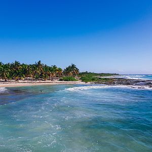 ncl DAWN Dolphin side at sea NEW HULL©norwegian-cruise-line© NCL