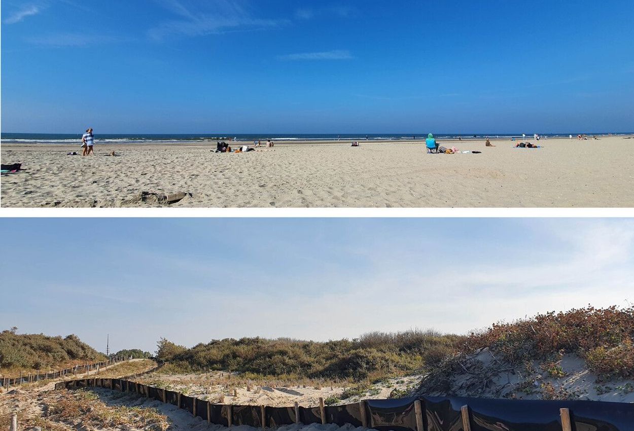 Hoek von Holland - Strand von Rotterdam