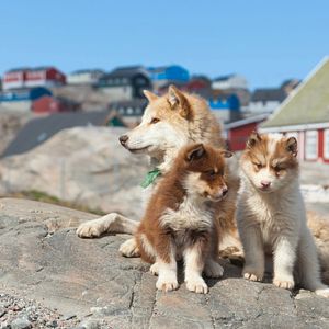 HANSEATIC spirit_Allgemein & Bilder_außen