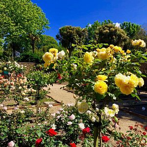 Sark_Klippen_Kanalinseln_AdobeStock_122688361©Dom