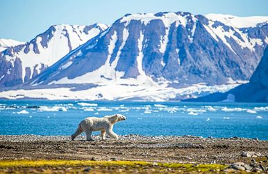 abwechslung im hohen norden
