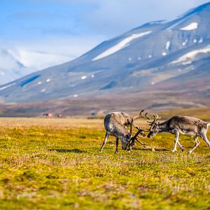 Spitzbergen