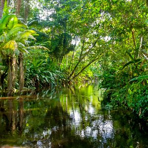 Im Amazonas, Brasilien