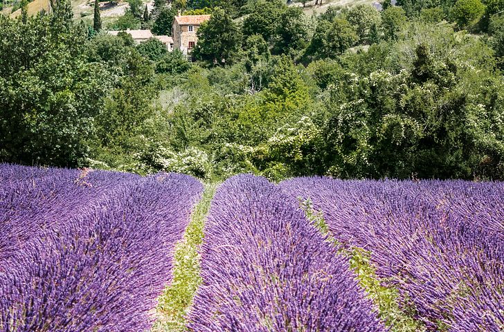 Impressionn zu A-ROSA Basic - A-ROSA STELLA - Rhône Route Provence