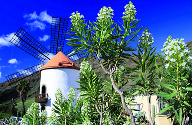 Von Gaudi zu den karibischen Paradiesen