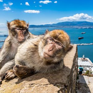 Cadiz Spanien Kathedrale