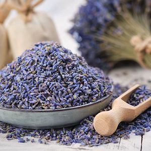 Provence Avignon Frankreich