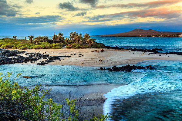 Strand auf den Galapagosinseln
