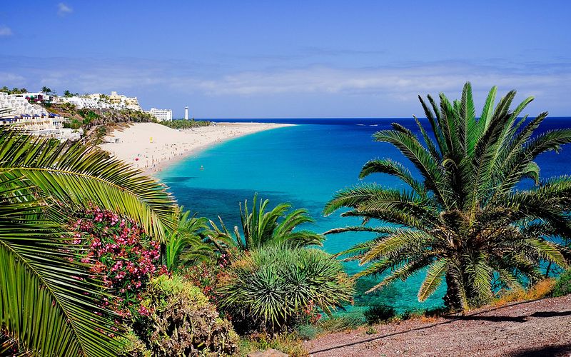 inselzauber der kanaren