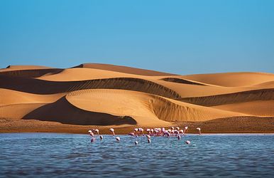 namibia und südafrika intensiv