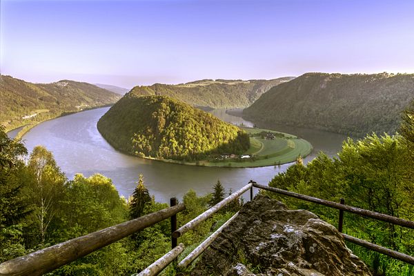 Die Donau bei der Schlögener Schlinge in Österreich