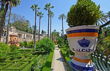 mediterrane mosaikreise