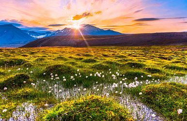 highlights am polarkreis