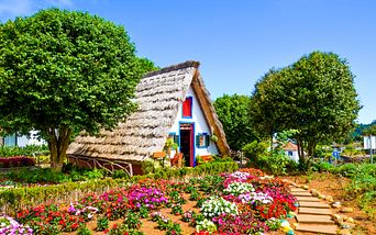 von hamburg nach teneriffa