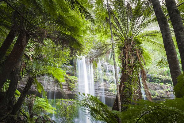 Der Mount Field National Park 