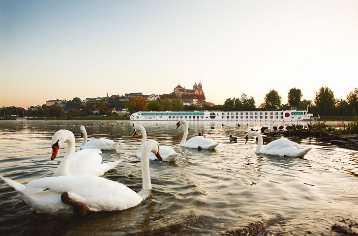 Impressionen zu A-ROSA 2025 Premium alles inklusive - Rhein Erlebnis Nord