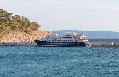 lupus mare