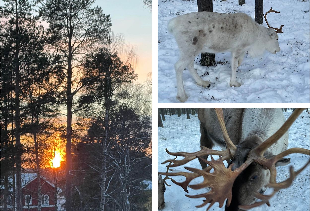 Anreise nach Schwedisch Lappland