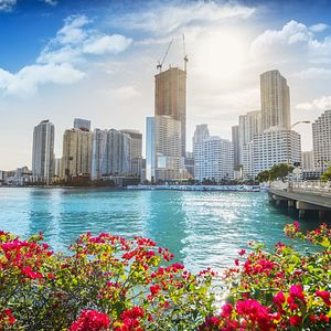 Karibik_Strand_AdobeStock_64173814 © doris oberfrank-list