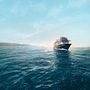Mein Schiff 2 Impressionsbild