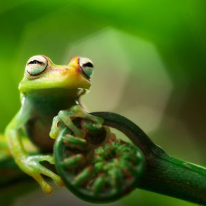 HANSEATIC spirit - Hapag-Lloyd Cruises - HANSEATIC spirit