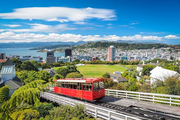 Blick über Wellington 