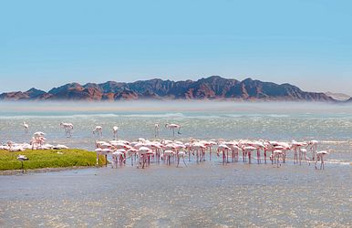 von teneriffa nach kapstadt