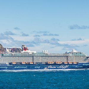 Karibik Palme mit Liegematte