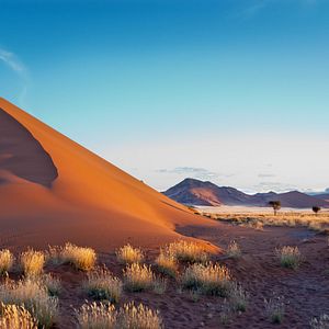Sossusvlei_AdobeStock_43302021 © Iuliia Sokolovska