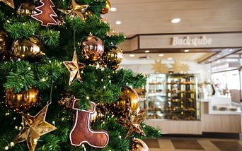 <i> mein schiff <sup>®</sup> </i> im advent