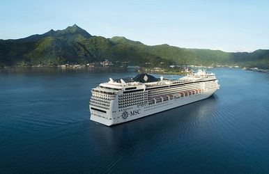 msc magnifica