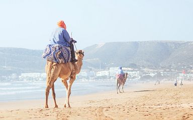 kanaren & marokko oder andalusien