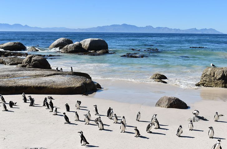 Impression zu Mein Schiff Frühling 2026 - Mein Schiff 4 - Transozean