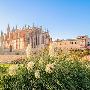 Palma de Mallorca, Kathedrale