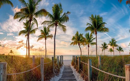 pazifik trifft karibik