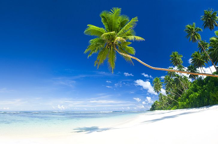 Impressionen zu Suiten Special Sommer 2025 - Mein Schiff 1 - Florida und Bahamas