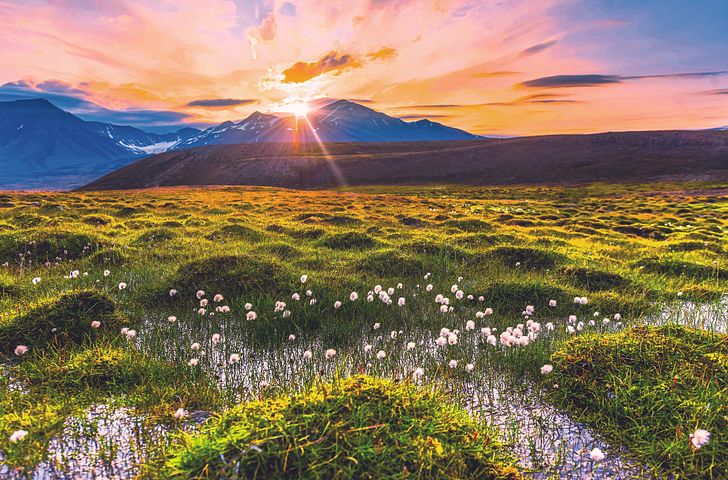 Impression zu Sommer 2027 - Mein Schiff 7 - Sehnsuchtsziel Spitzbergen