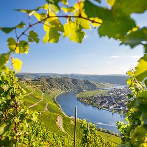 Mosel_AdobeStock_100170164©mh90photo