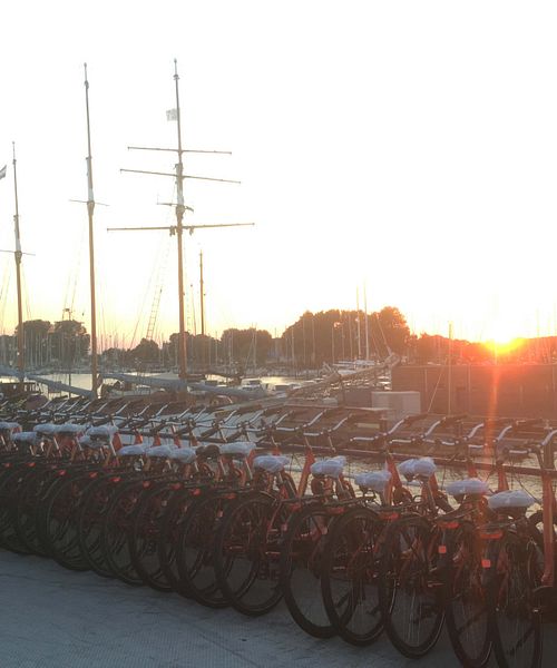 Fahrräder Niederlande