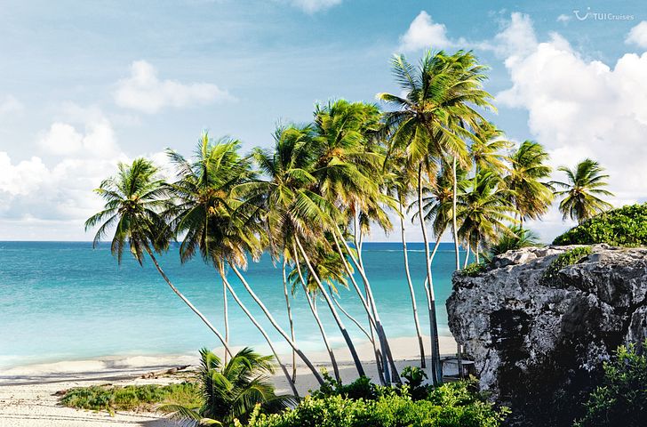 Impression zu Mein Schiff Angebot der Woche - Mein Schiff 2 - Karibische Inseln