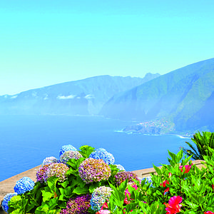 Madeira_AdobeStock_293221774 © ppohudka_abo_pso