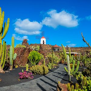 Madeira Porto Moniz Portugal 