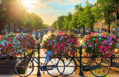 10 fakten über amsterdam